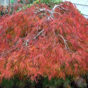 Meet your Posher, Vicky